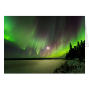 Majestisk Aurora OBS Kort