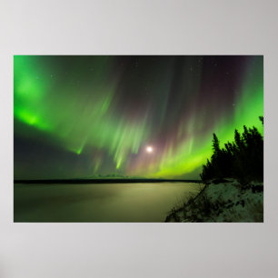 Majestisk Aurora Poster