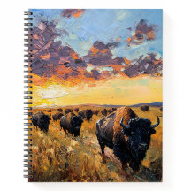 Majestisk herd: Buffalo under sunset Himmel