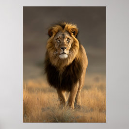 Majestisk Lejon i Golden Savanna Poster