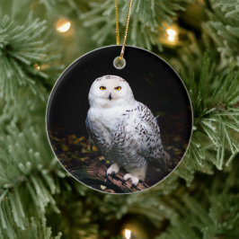Majestisk vinter snöuggla julgransprydnad keramik
