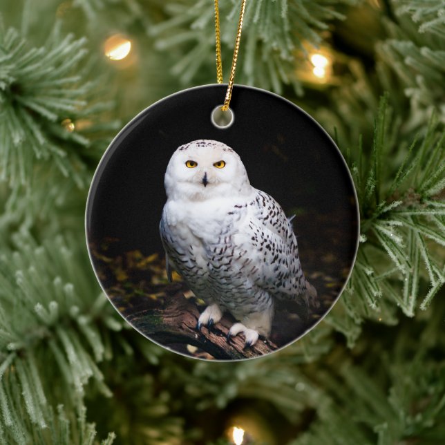 Majestisk vinter snöuggla julgransprydnad keramik (Träd)