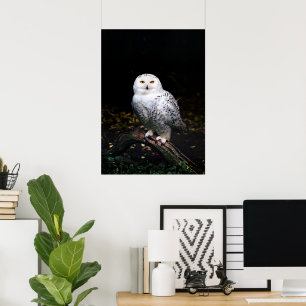 Majestisk vinter snöuggla poster