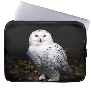 Majestisk vintersnowy uggla laptop fodral