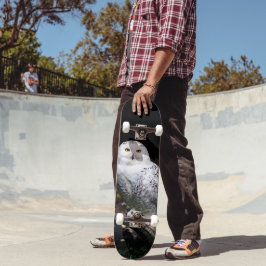 Majestisk vintersnowy uggla mini skateboard bräda 18,5 cm