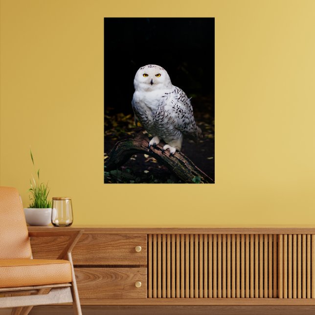 Majestisk vintersnowy uggla poster (Vardagsrum 2)