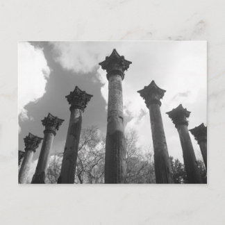 Majestiska kolumner i Windsor Ruins - Port Gibson  Vykort