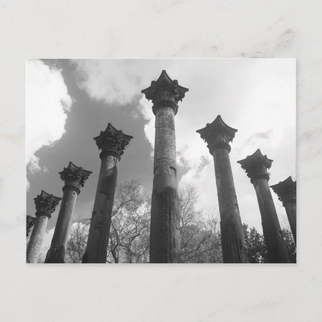 Majestiska kolumner i Windsor Ruins - Port Gibson  Vykort (Framsida)