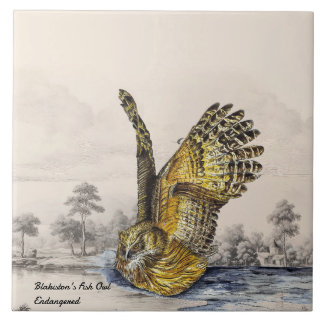 Majestiskt utrotad Blakistons Uggla (fågel) Kakelplatta