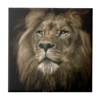 Majesty.jpg Kakelplatta