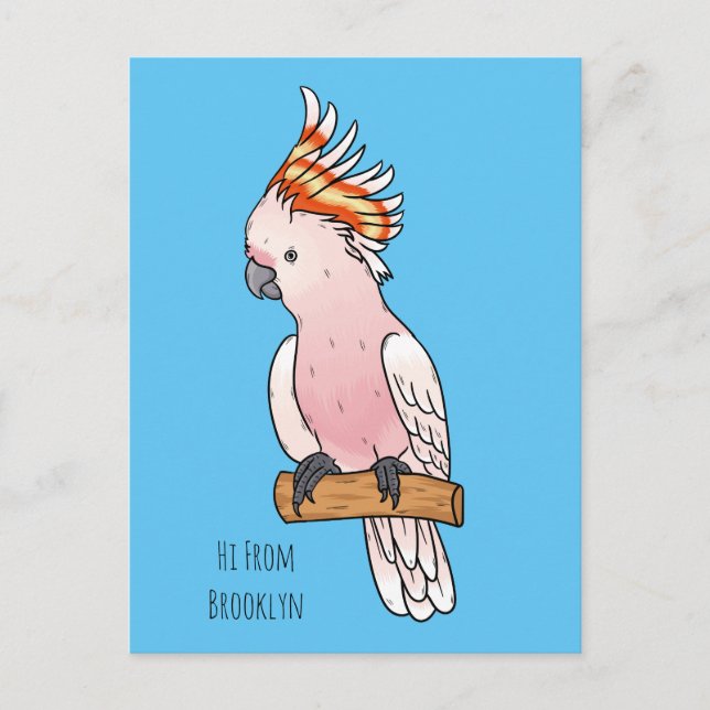 Major mitchell kakadu fågel serieillustration vykort (Framsida)