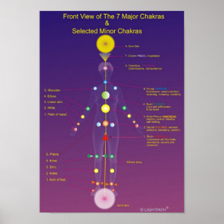 Major och Minor Chakras Poster