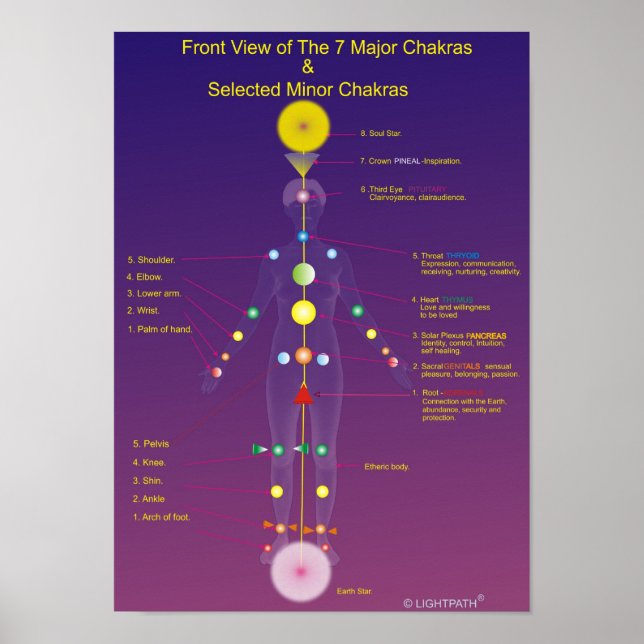 Major och Minor Chakras Poster (Framsidan)