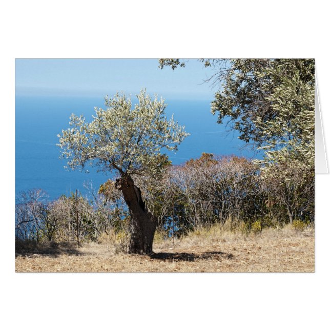 Majorca Hälsningskort (Framsidan Horizontal)