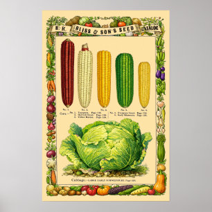 Majs Retro Viktoriansk Tid Botanisk Konst Poster