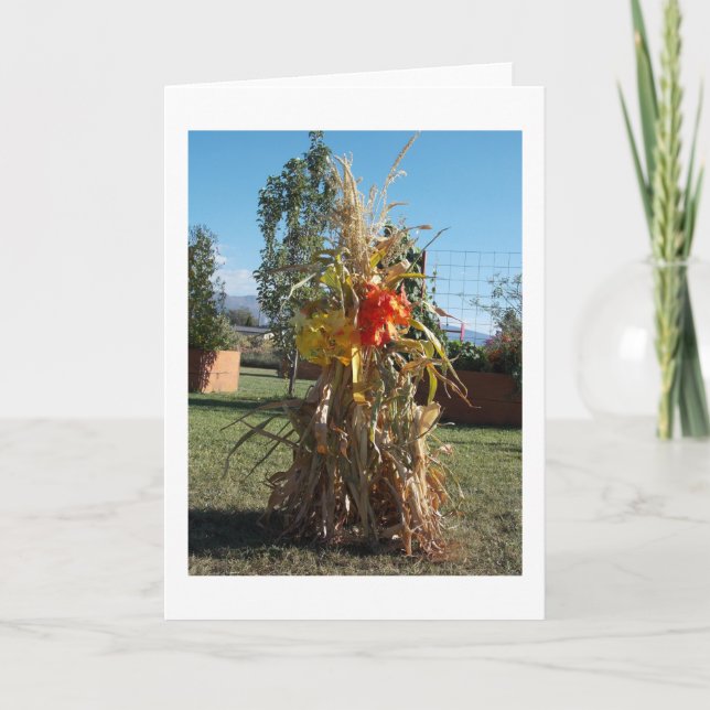 Majsstjälksbukett i trädgårdsgratulationskort kort (Framsida)