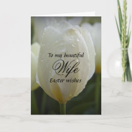 Maka/Påsk Önskemål - Elegant White Tulip Helgkort