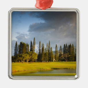 Makai golfbana i Princeville Julgransprydnad Metall