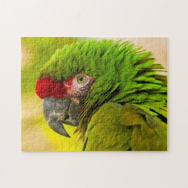 Makaw i Santa Barbara Zoo Pussel (Horisontell)