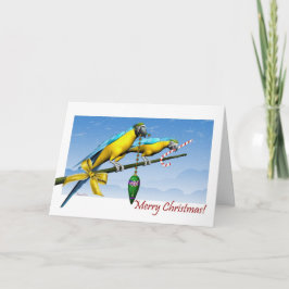 Makaw Parrot Ornament Candy cane julkort Helgkort
