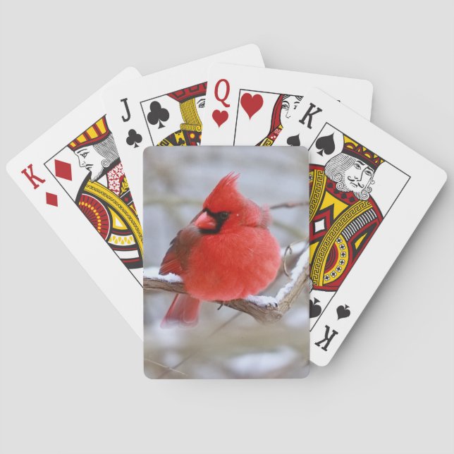 Make_Cardinal_Cards Casinokort (Baksidan)