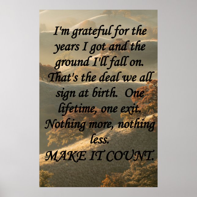 Make It Count Poster (Framsidan)