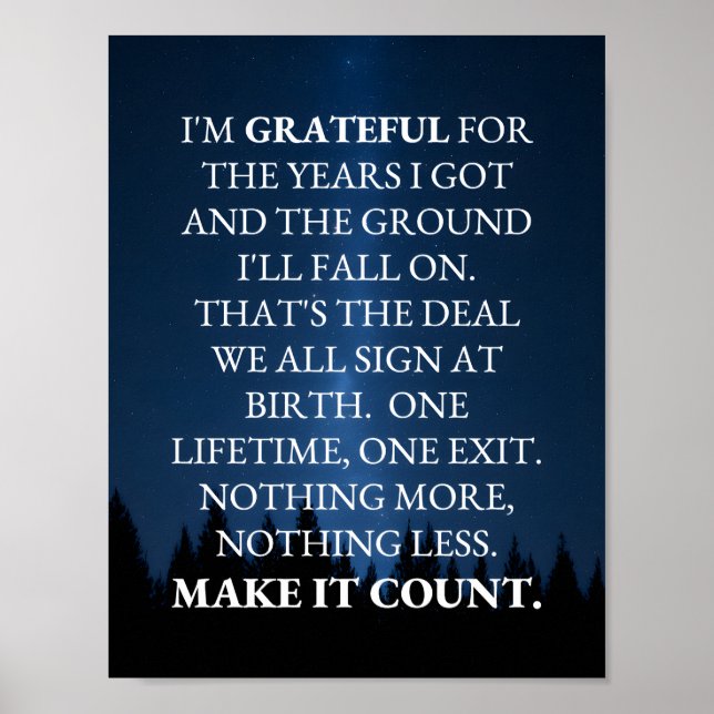 Make It Count! Poster (Framsidan)