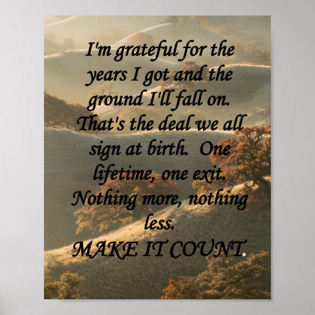 Make It Count Poster (Framsidan)
