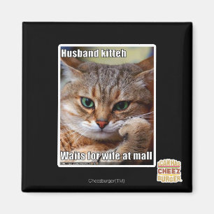 Make Kitteh Magnet