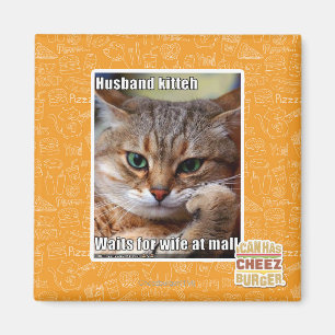 Make Kitteh Magnet