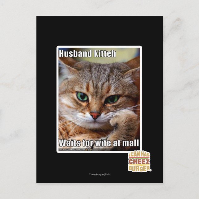 Make Kitteh Vykort (Framsida)