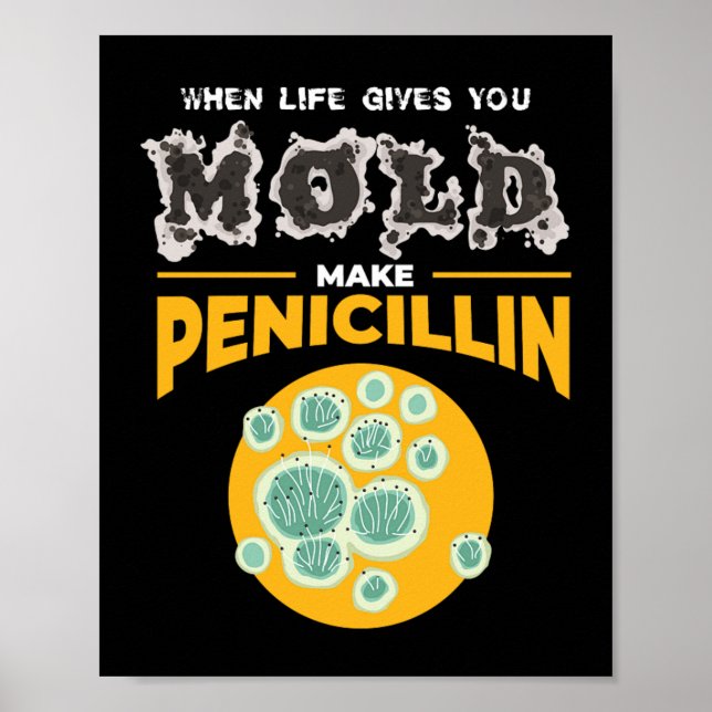 Make Penicillin Microbiology Chemistry Poster (Framsidan)