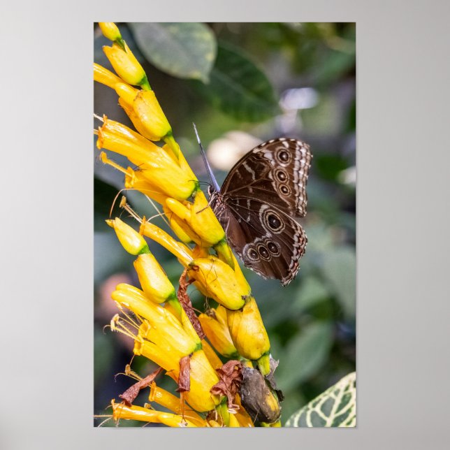 Making Contact Poster (Framsidan)