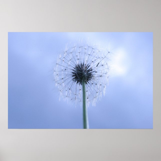 Makin'Önskemål Poster (Framsidan)