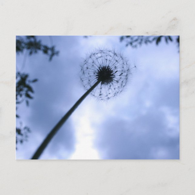 Makin'Önskemål Vykort (Framsida)