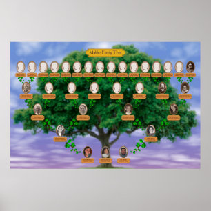 Makler stamträd poster