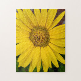 Makro av gul blomma pussel