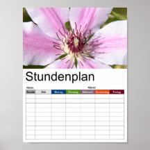 Makro av vit och lila Clematis