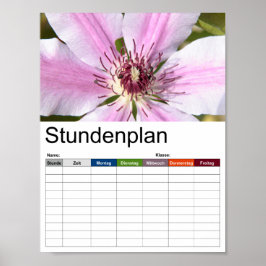 Makro av vit och lila Clematis Poster