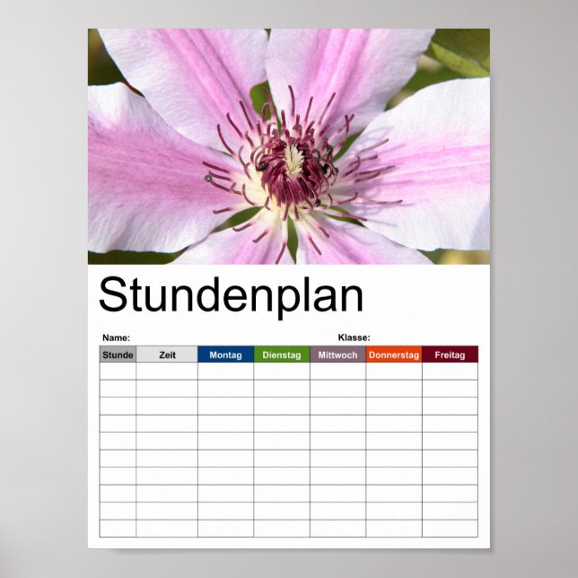 Makro av vit och lila Clematis Poster (Framsidan)