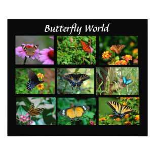 Makro Butterflies Photo EnUtvidgning Fototryck