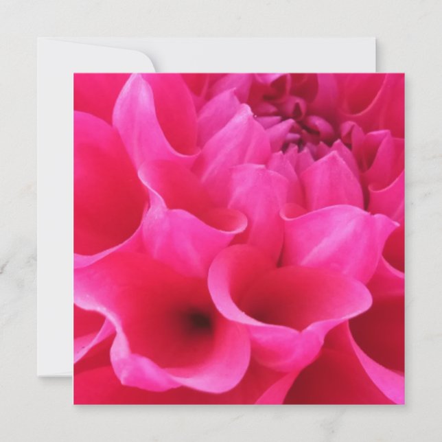 Makro Close Delilah Flower Kort (Framsida)