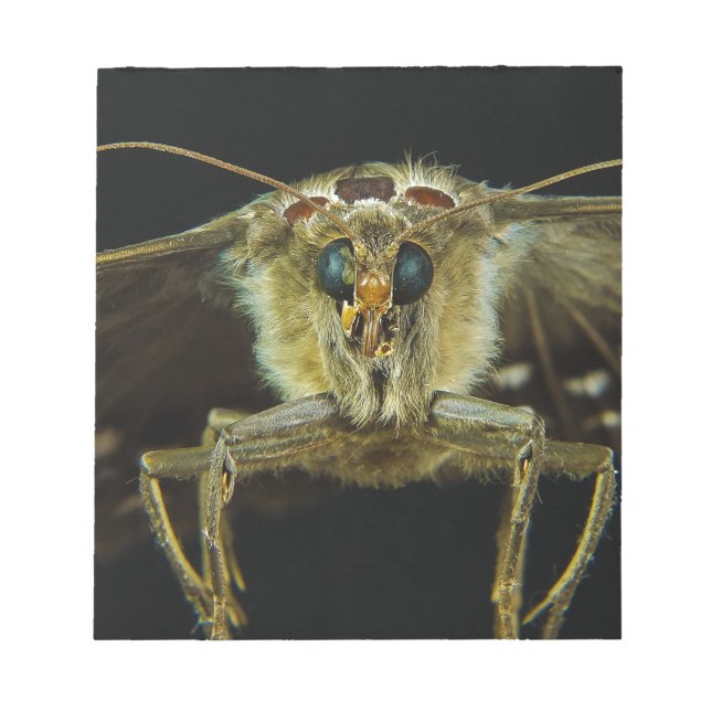 Makro Close Up of Butterfly Anteckningsblock (Framsida)