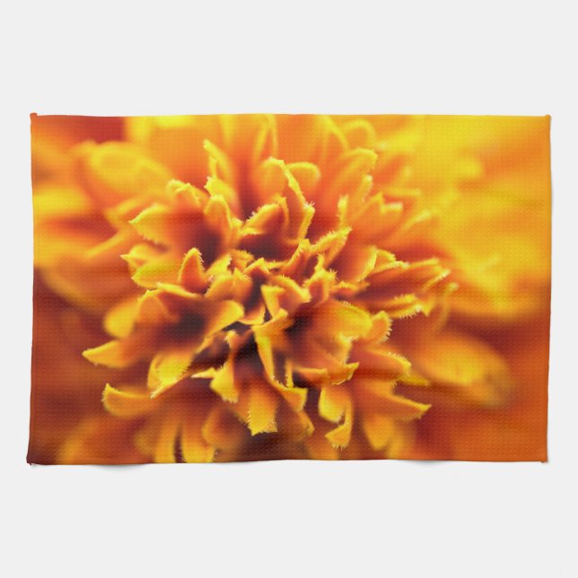 Makro der Studentenblume Kökshandduk (Horisontell)