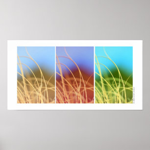 Makro Grass Trio Poster