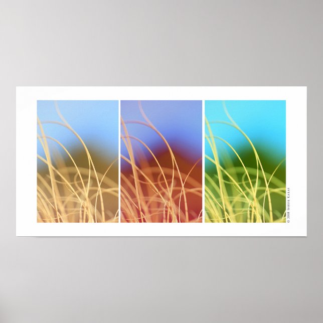 Makro Grass Trio Poster (Framsidan)