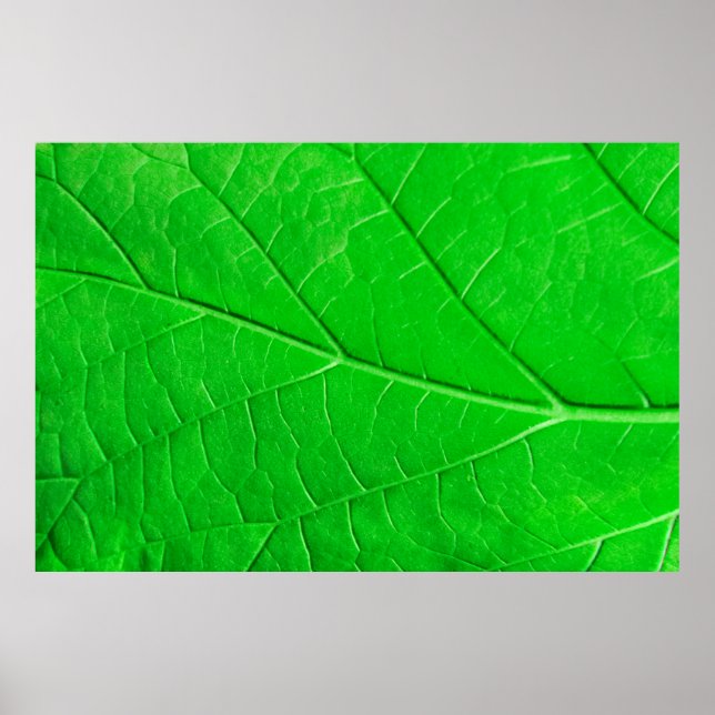 Makro grönt löv-ekologins bakgrund poster (Framsidan)