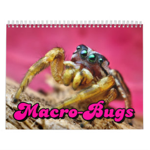 Makro-Kryp väggkalender Kalender
