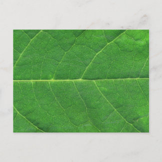 Makro Photo Löv Vykort