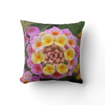 Makro: Rosa och Gult Lantana Flower